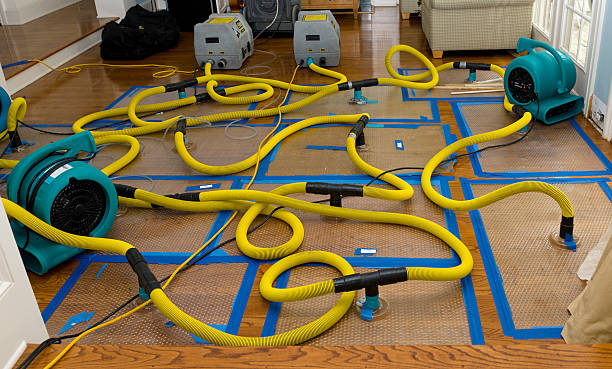 Professional Flood Damage Restoration technician working in Davison, MI